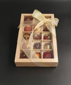 Geschenkschachtel verpackt, Inhalt: 15 vegane Pralinen mit Hülle aus Zartbitter-Schokolade