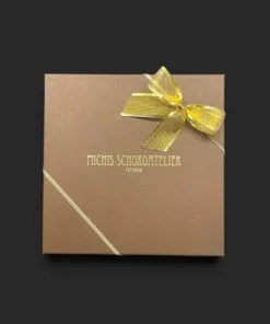 25er Geschenkbox (vegan) – Michis Schokoatelier