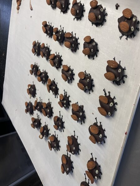Maikäfer aus Schokolade